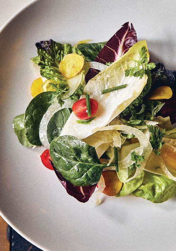 Insalata from Lido BY OLIVER PILCHER